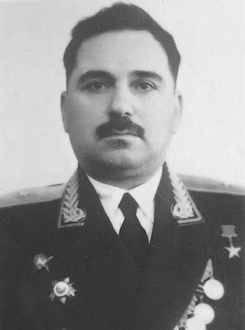 Жижилашвили Шалва Николаевич