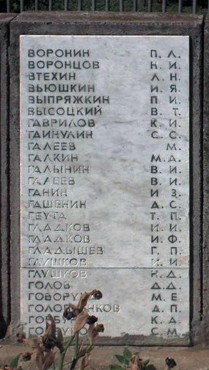 Братская могила в селе Васильевка (вид 2)