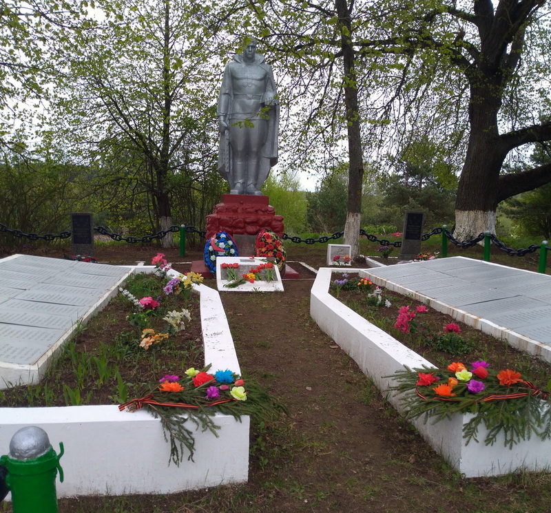 Братская могила в деревне Задвинье (общий вид)