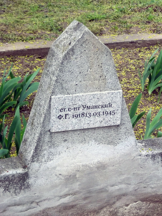 Воинское кладбище в селе Цеце (вид 2) 