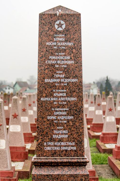 Воинское кладбище в городе Самбор (вид 2)
