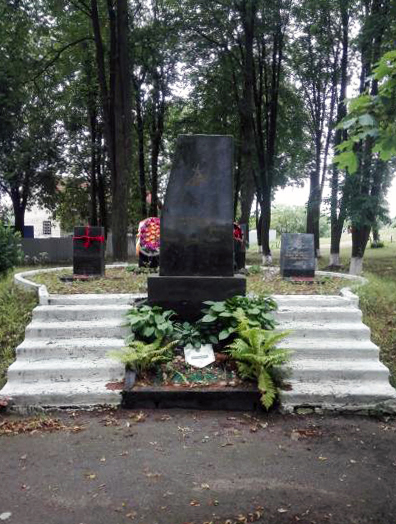 Братская могила в деревне Большевик (общий вид)