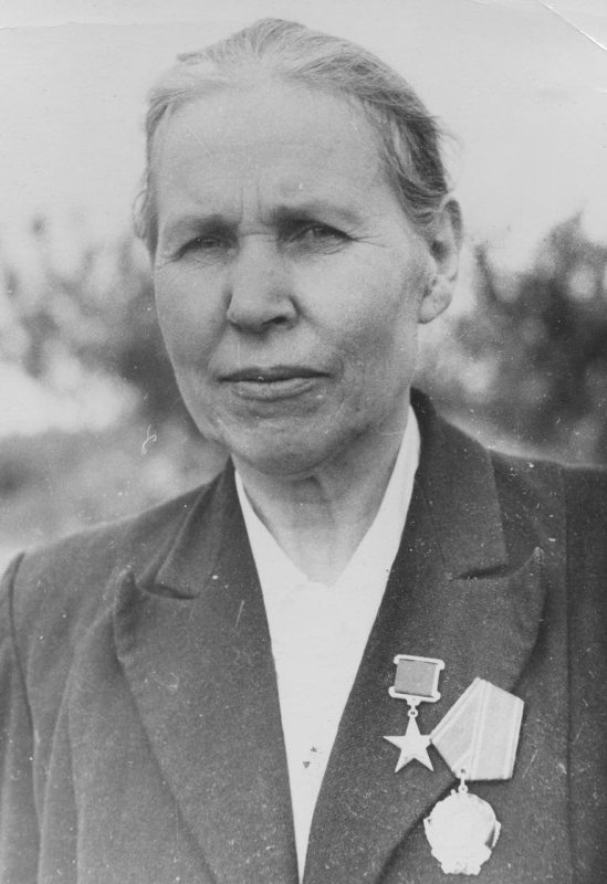 А.М. Челнакова
