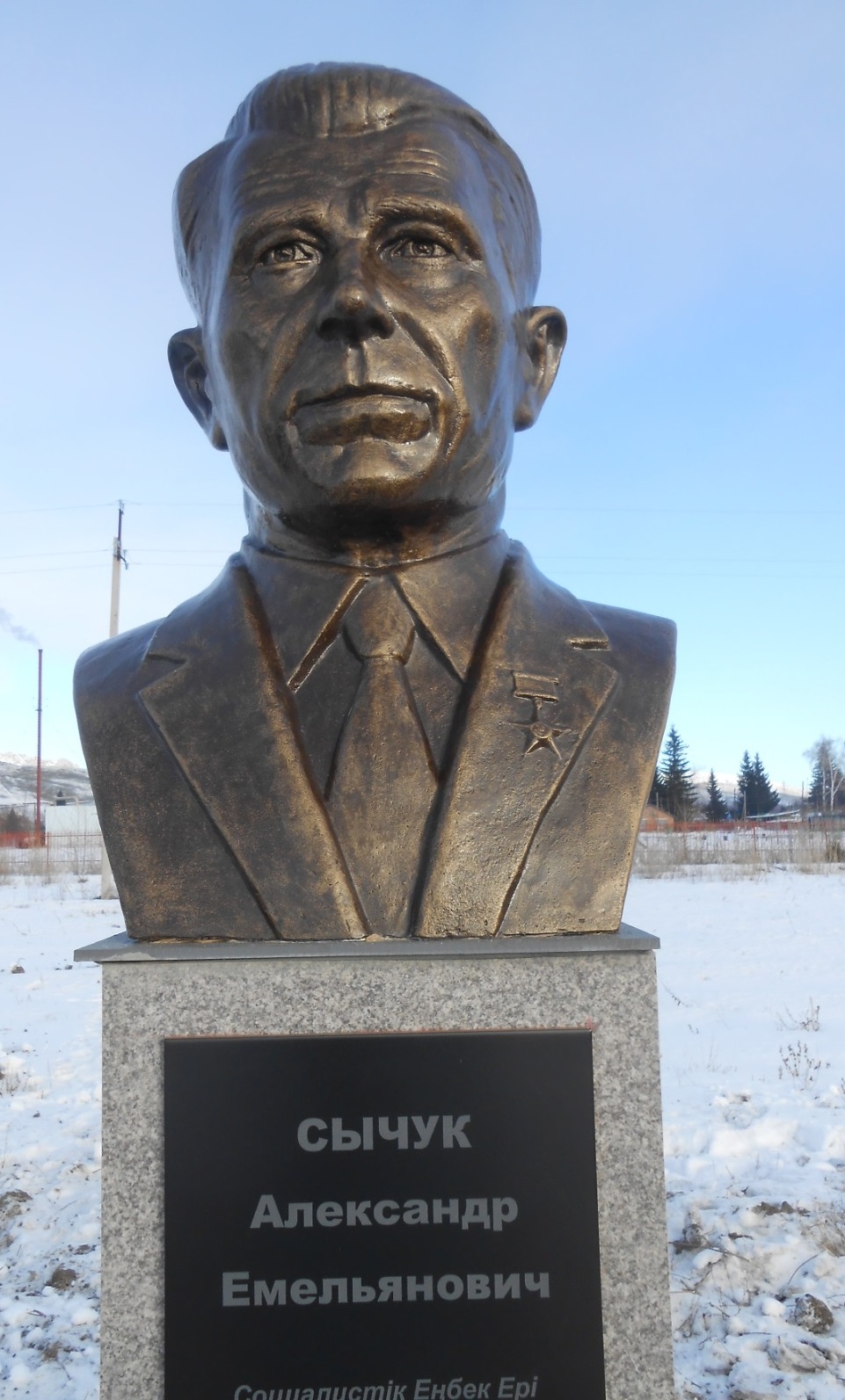 Бюст в селе Улькен Нарын