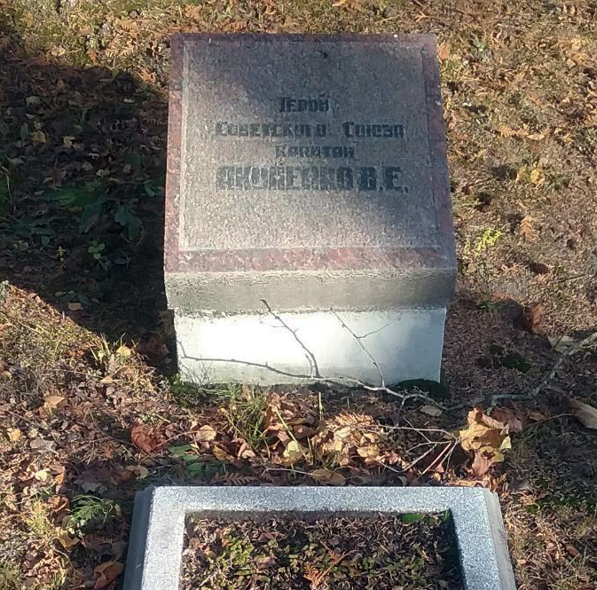 Воинское кладбище в городе Елгава (вид 2)