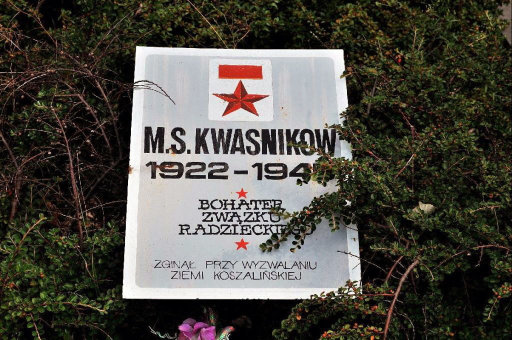 Воинское кладбище в деревне Щецинек (вид 2)