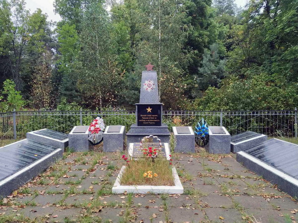 Братская могила в деревне Козероги (общий вид)