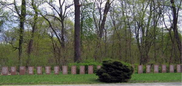 Воинское кладбище в городе Мюнхеберг (вид 2)