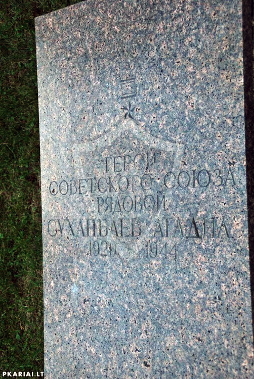 Воинское кладбище в городе Друскининкай (вид 2)