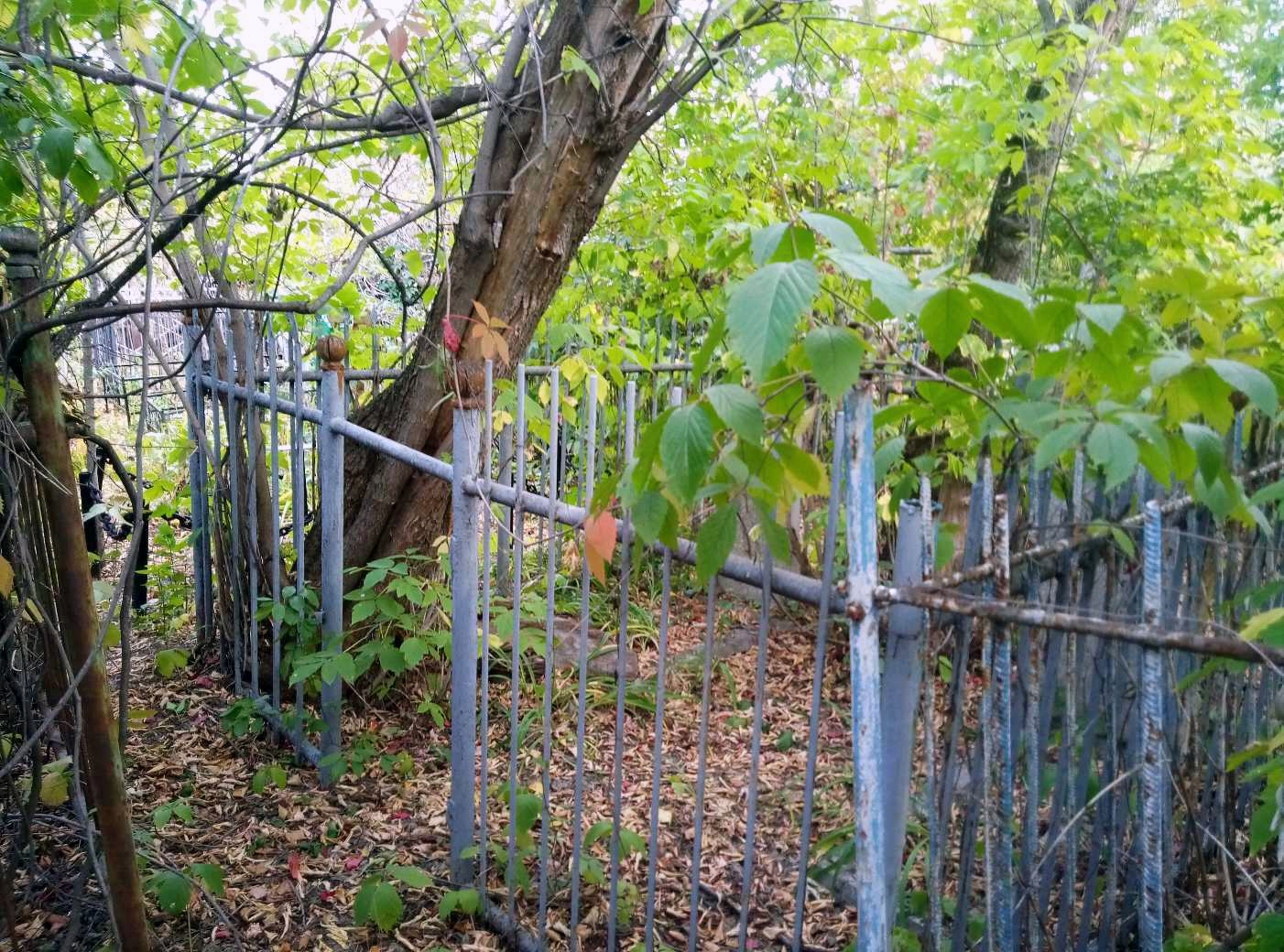 Надгробный памятник