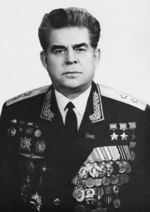 Г.Т. Береговой, 1982 год
