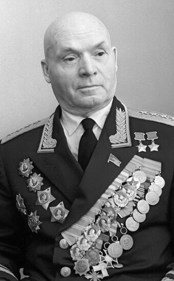 Д.Д. Лелюшенко, 1965 год