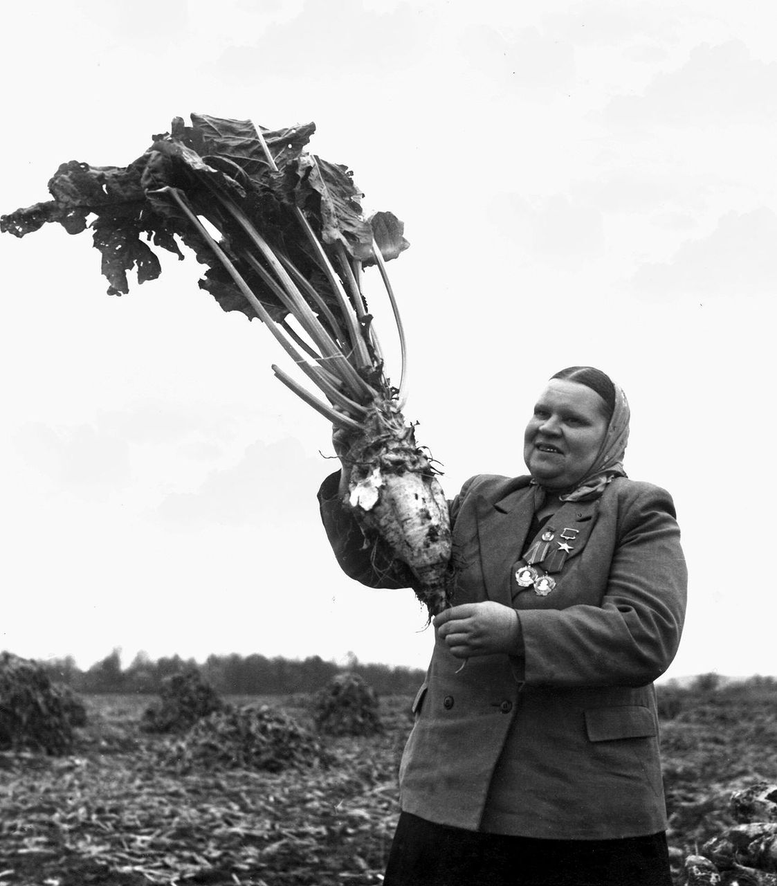 М.Я.Федоренко демонстрирует урожай сахарной свеклы. 1958 г.