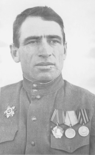 Д.И. Черниговский