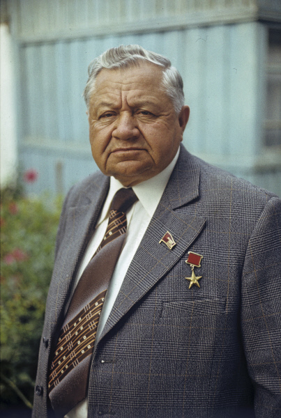 Н. Н. Головацкий, 1981 год