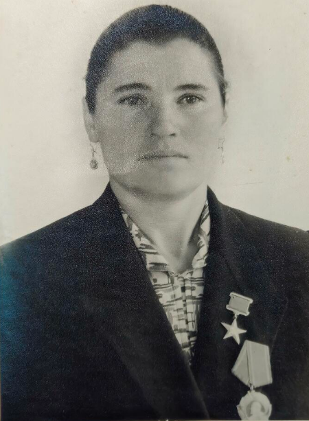 Н.И. Друзяка