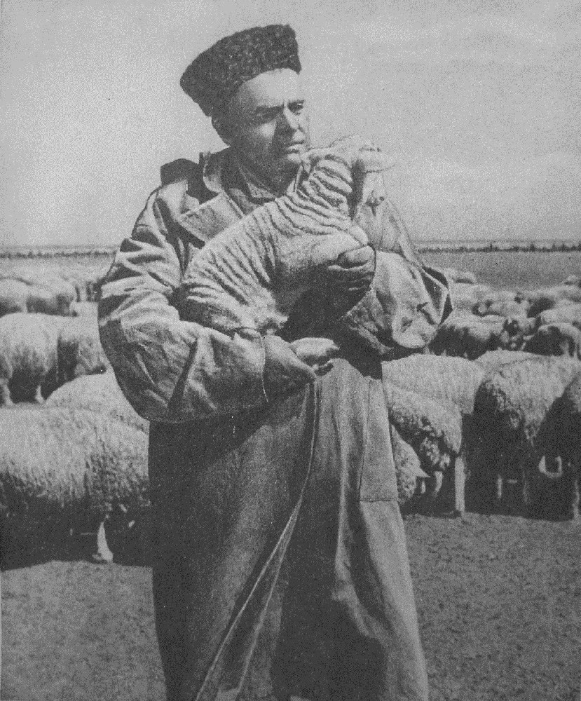 Н.Ф. Уманский