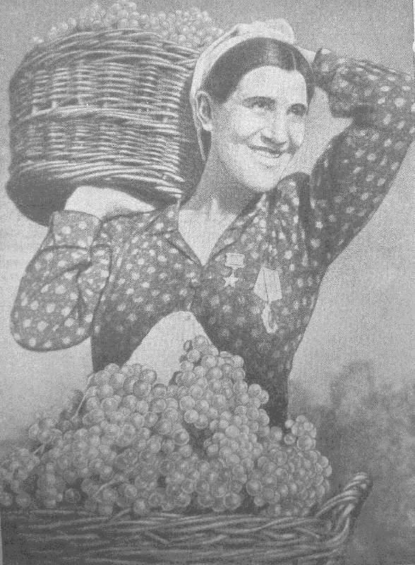 З.М. Абдуллаева