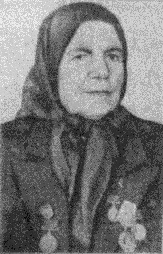 Д.И. Пелагеча