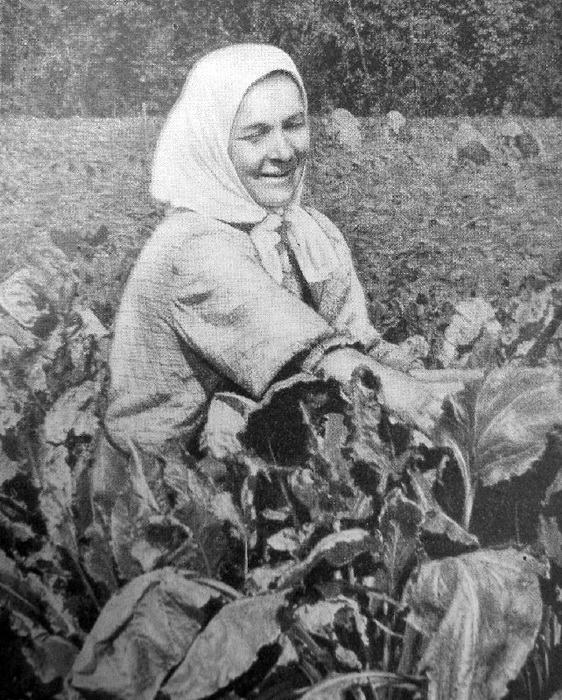 Т. И. Горячок