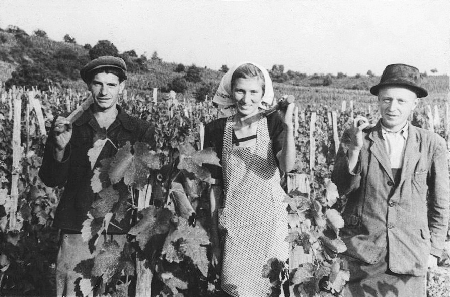 К. И. Чотари