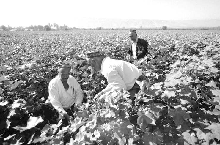 Б. Курбанов