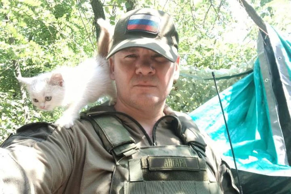 А. А. Васильев